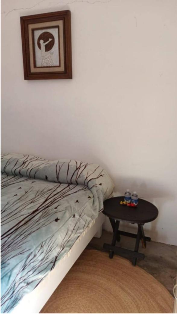 La Casa De Shari Appartement Oaxaca Buitenkant foto